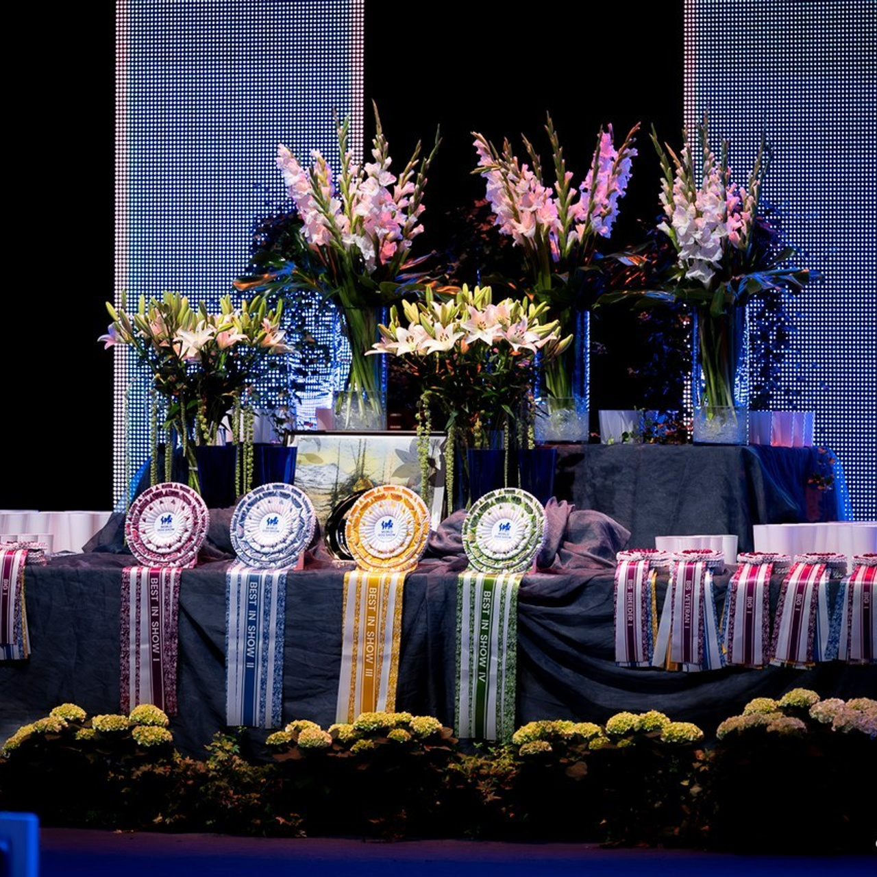 Testimonials. Eva Suits