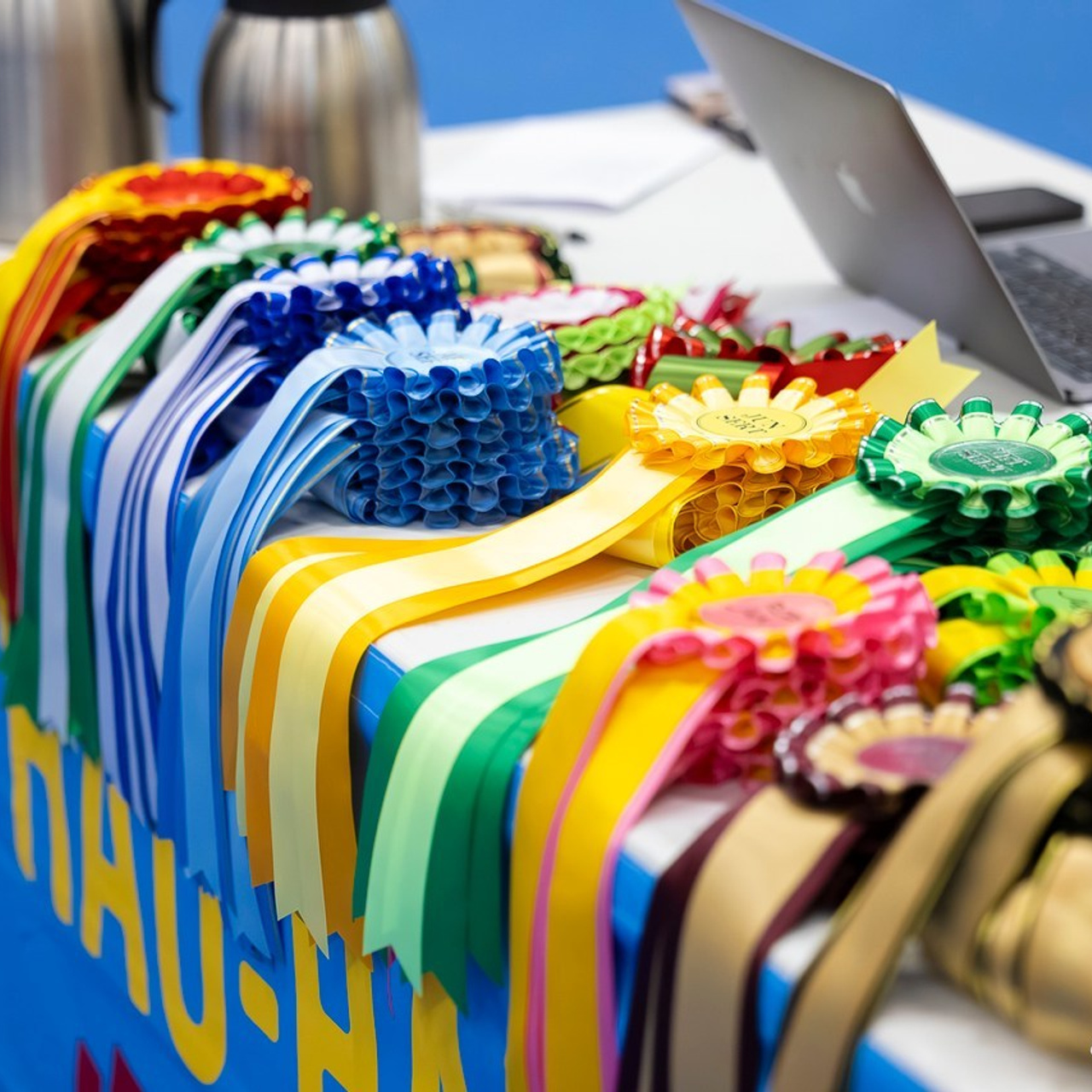 Testimonials. Eva Suits