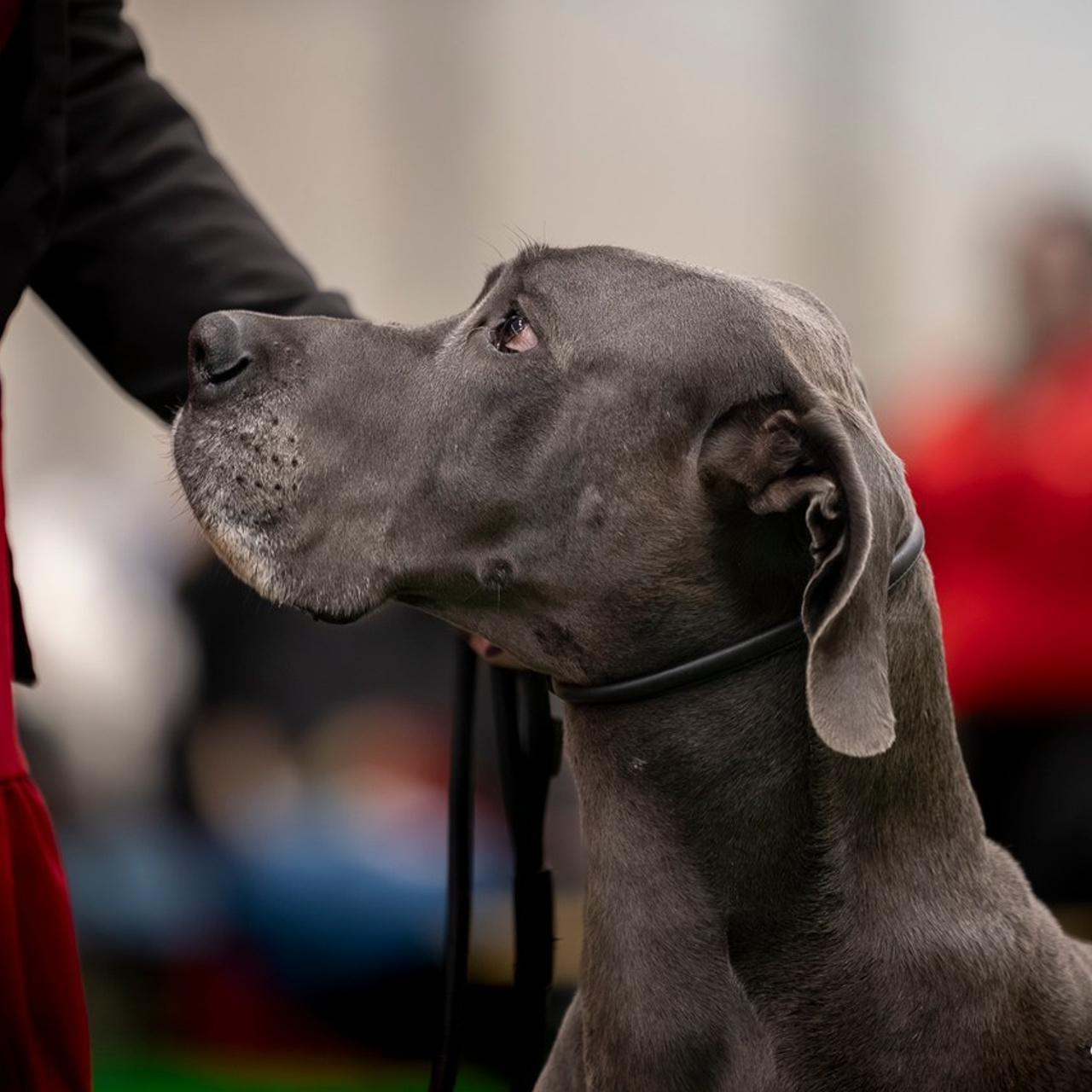 Testimonials. Eva Suits