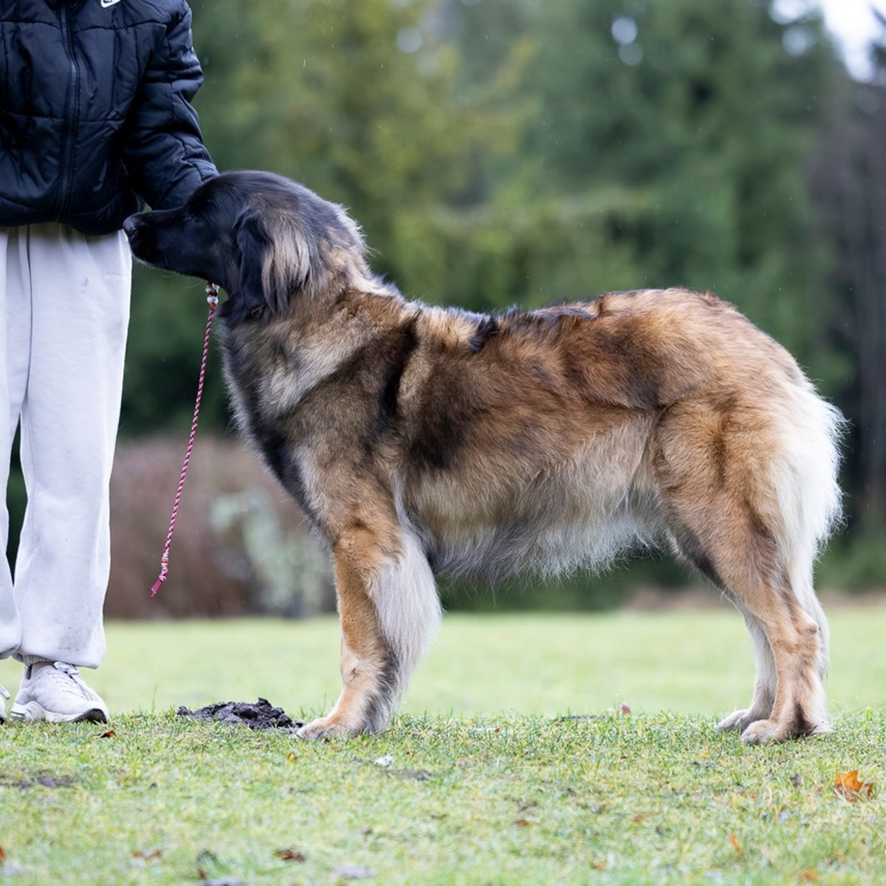 Testimonials. Eva Suits