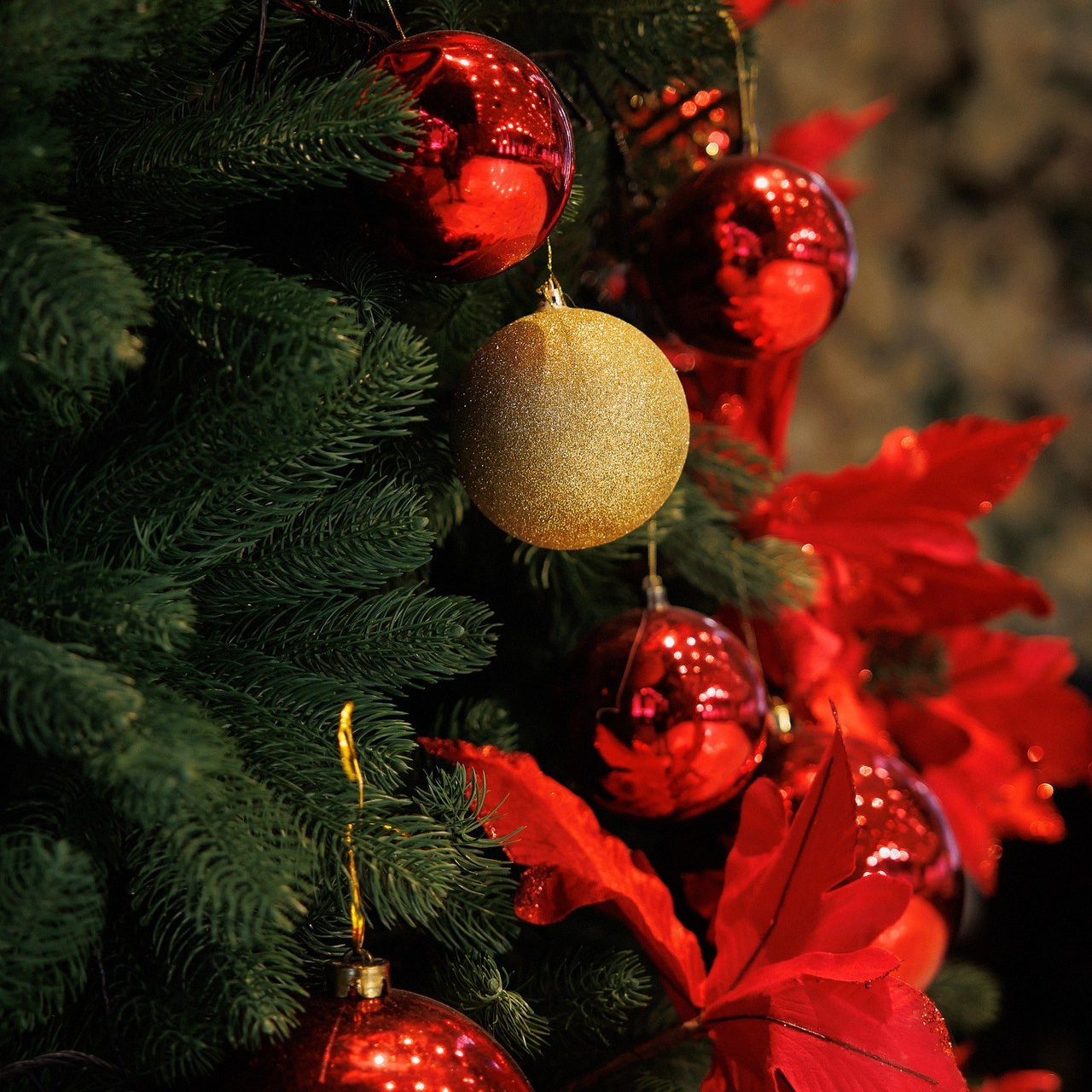 Отзывы обо мне. Свадебный и семейный фотограф в Бишкеке Давлетбаев Талгат
