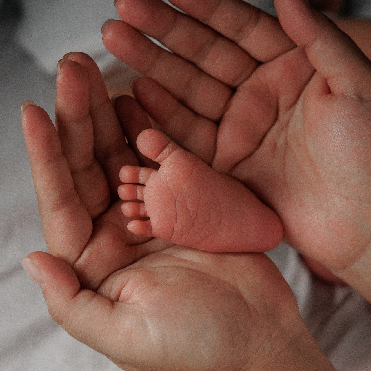 Отзывы обо мне. Свадебный и семейный фотограф в Бишкеке Давлетбаев Талгат