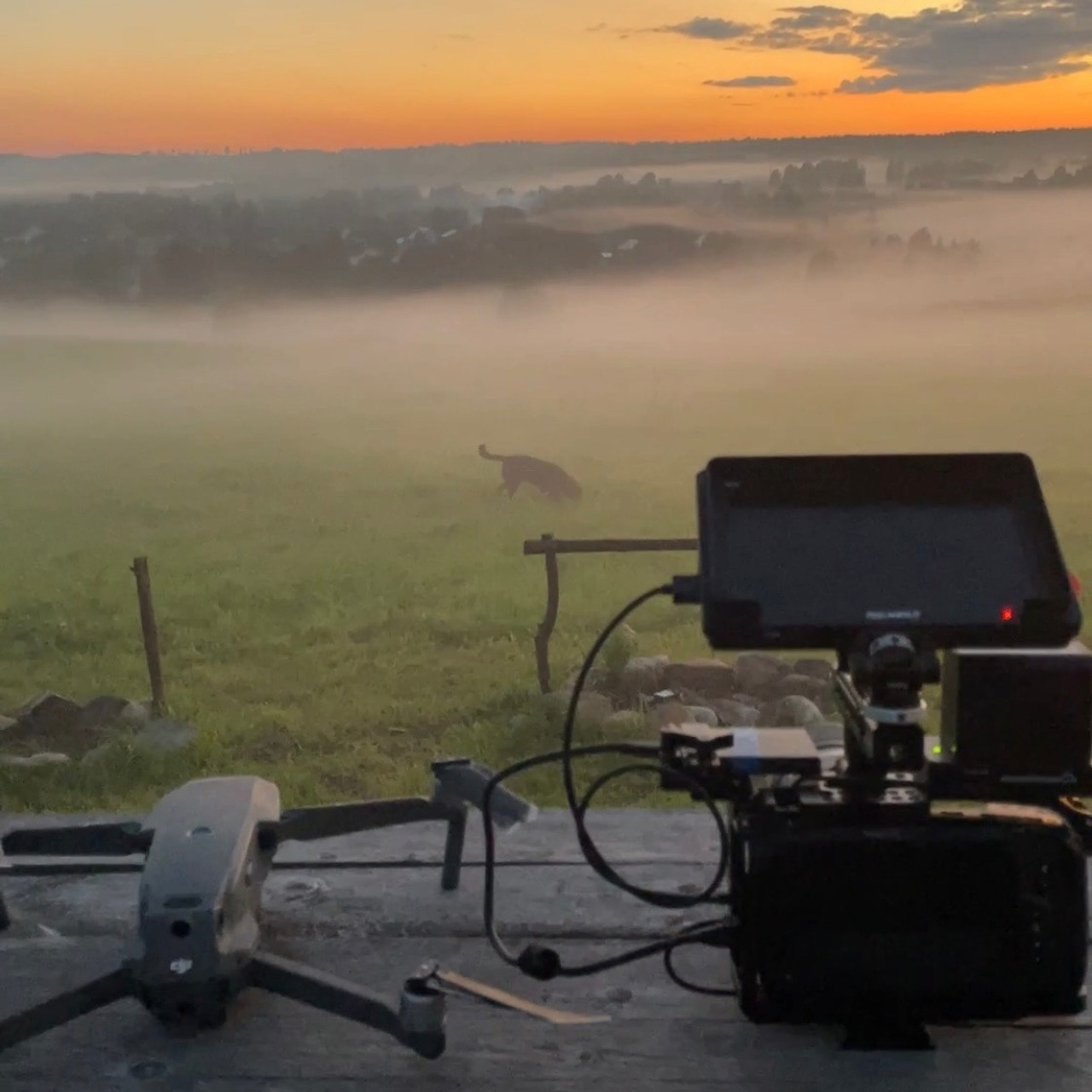 Пшеницын — видеопродакшн