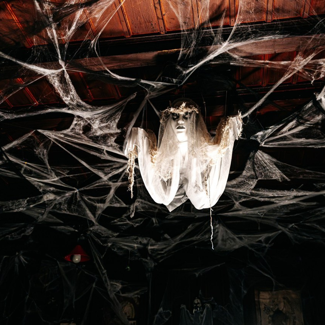 PORTRAIT. Photographe Suisse Tatiana Lyzhina