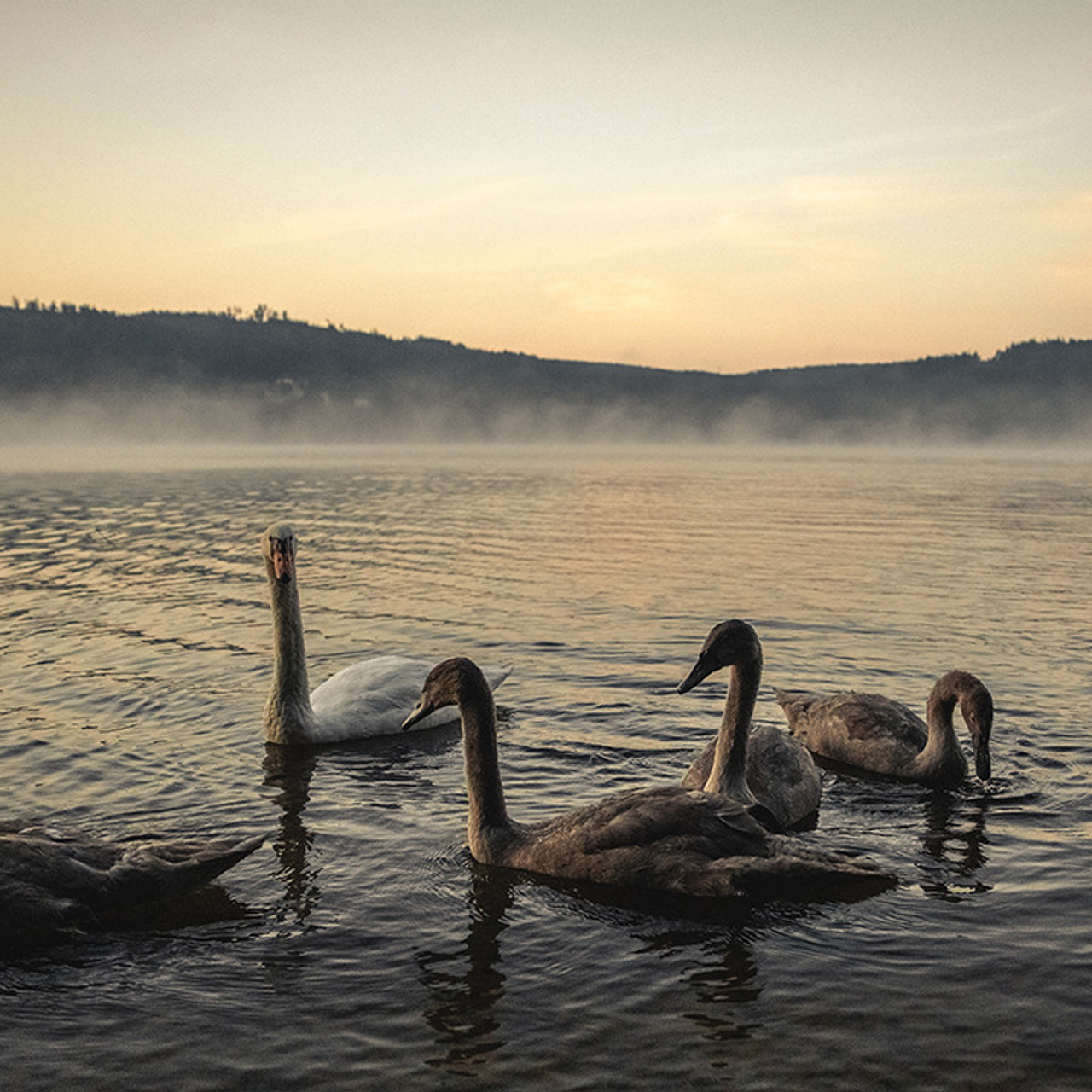 35AWARDS LAKES ОЗЁРА