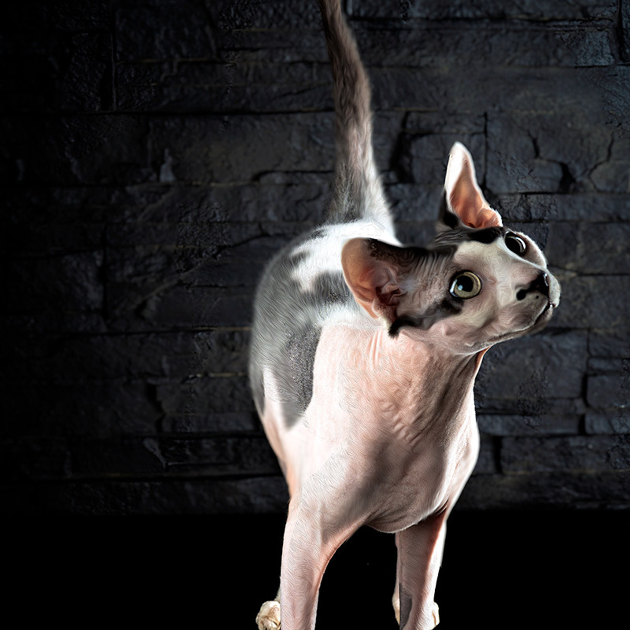 Rezension. LUKIN IGOR Photography