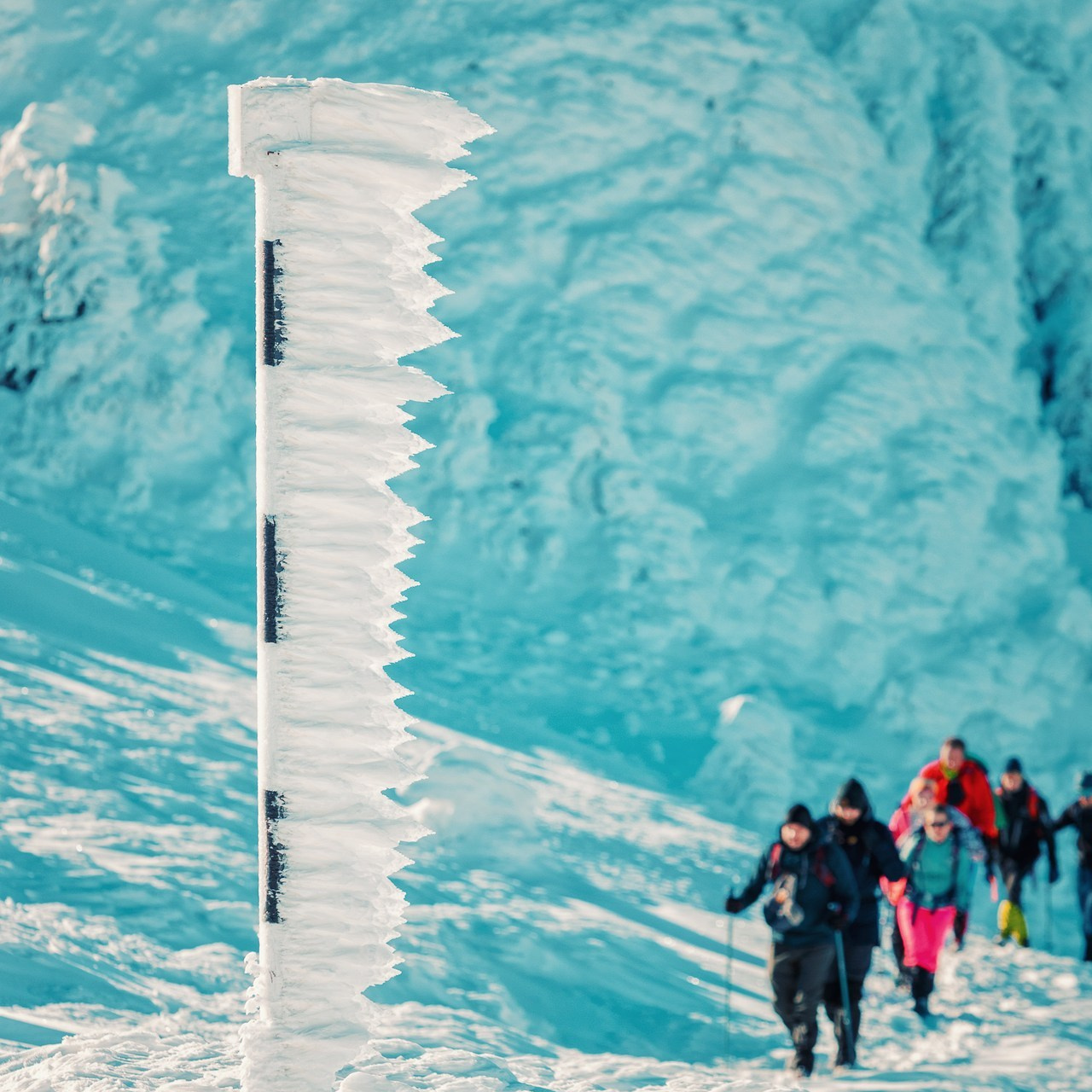 Recomandari. Fotograf profesionist | Brasov, Romania | Nunta si Evenimente