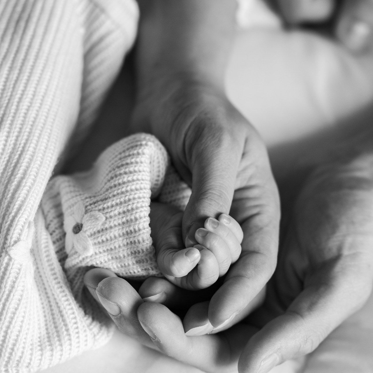 Testimonials. Portrait and Family Photographer in Netherlands