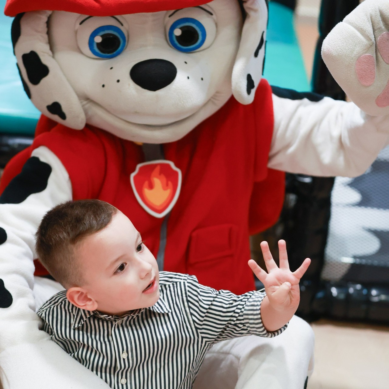 Testimonials. Daria Dmitrieva Newborn Photographer in Serbia