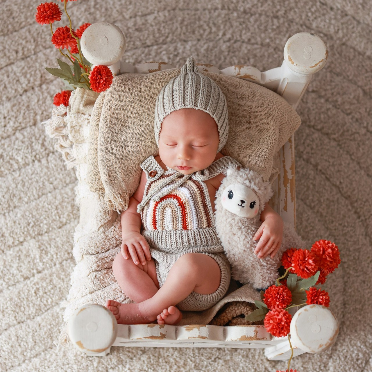 Testimonials. Daria Dmitrieva Newborn Photographer in Serbia