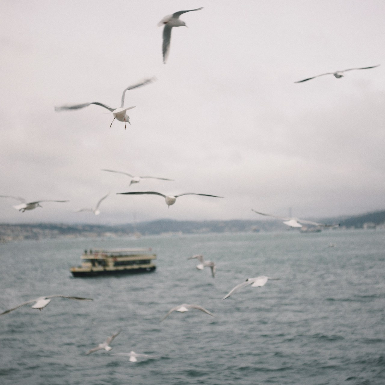 Отзывы. Katerina Presnetsova photographer in Istanbul