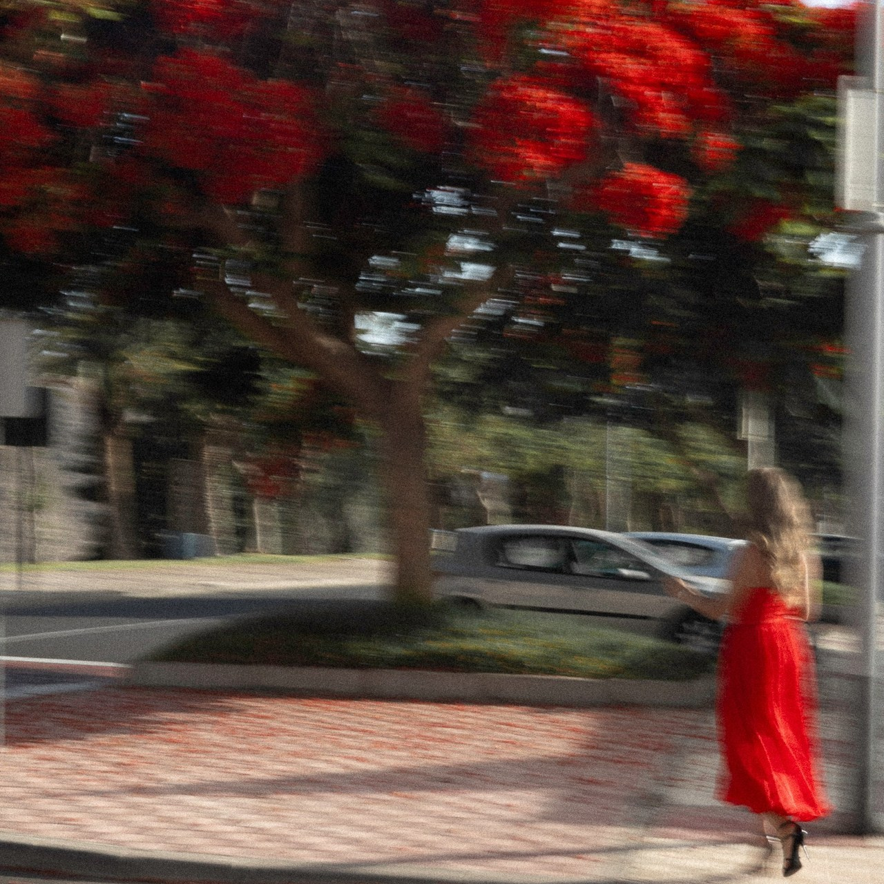 Comments | Photographer in Tenerife Elizaveta Lapteva. Photographer in Tenerife Elizaveta Lapteva