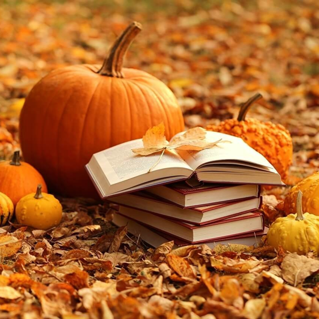 Feedbacks. ✔️ Servicii foto si video in Chisinau Moldova - Cinematic.md