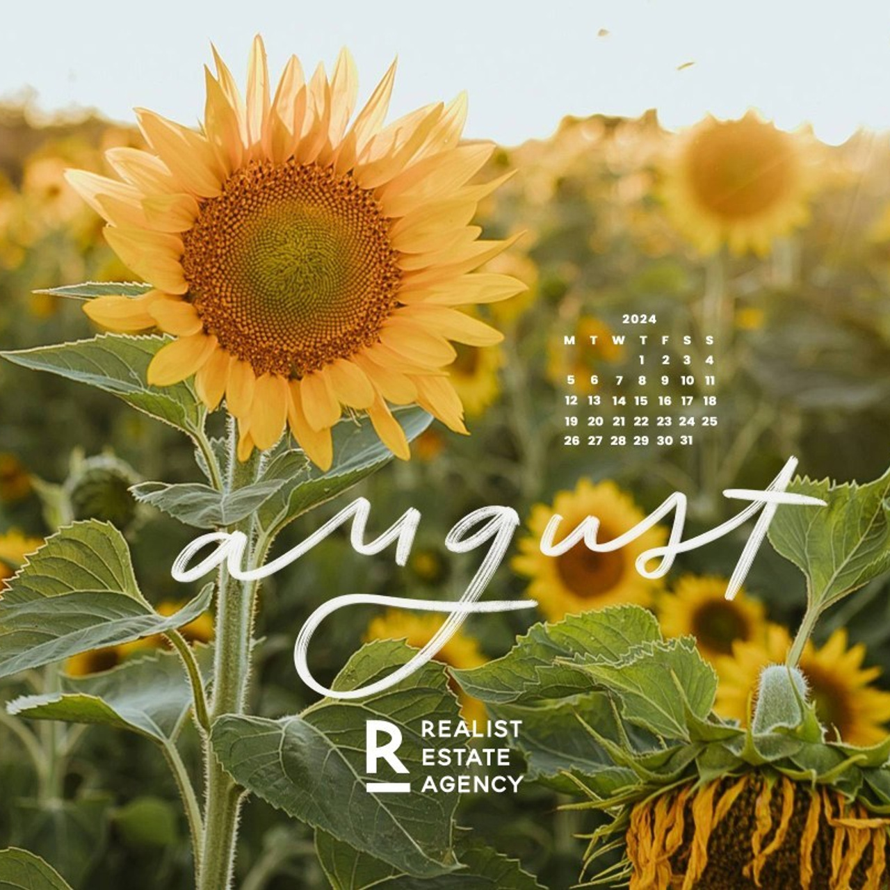 Feedbacks. ✔️ Servicii foto si video in Chisinau Moldova - Cinematic.md