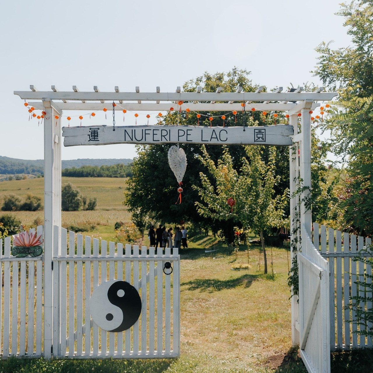 Recenzii. Фотограф в Кишинёве