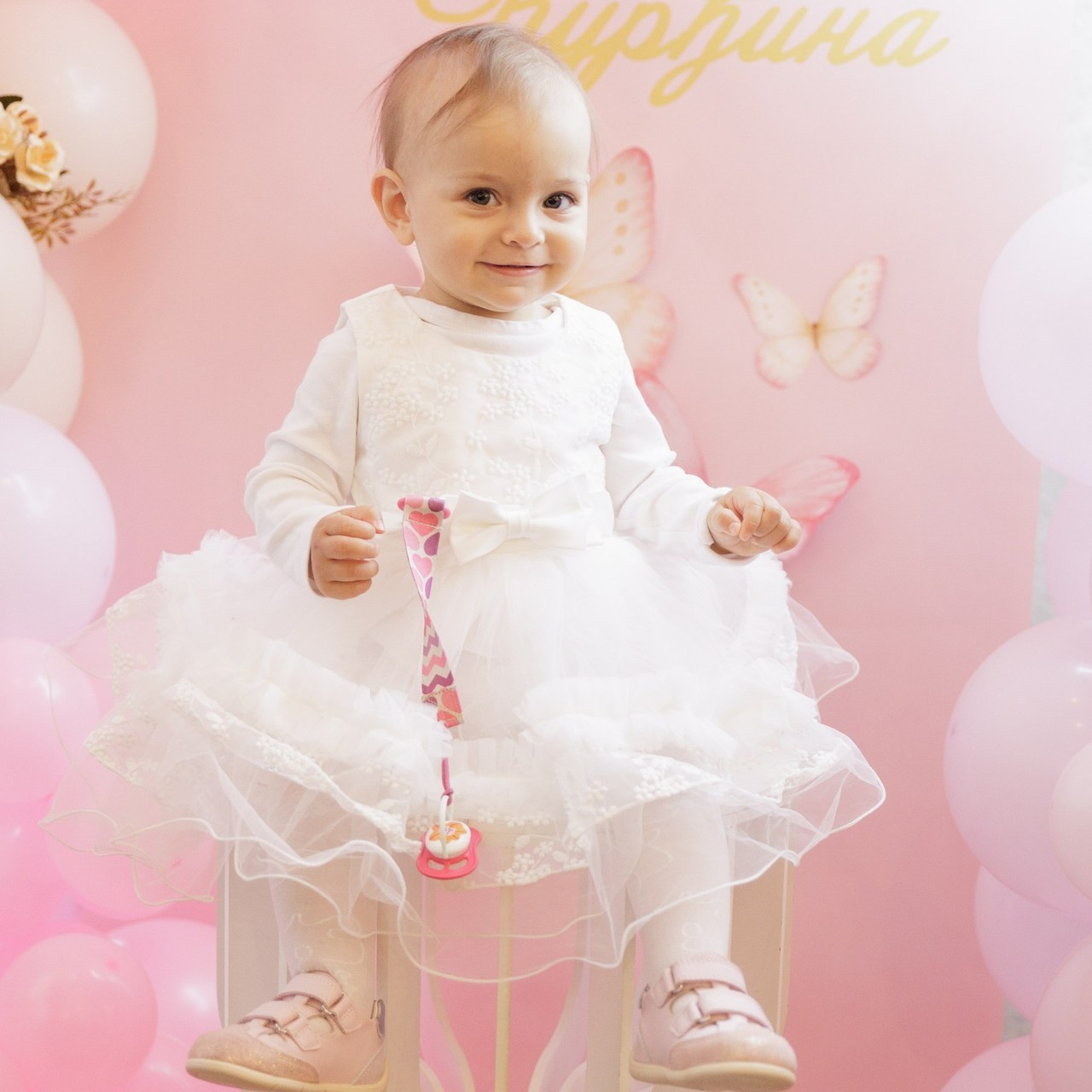 Testimonials. Photographer & videographer Aleksa Kljajić