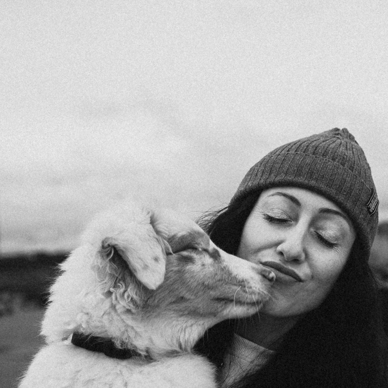 Recensione. Pagina principale