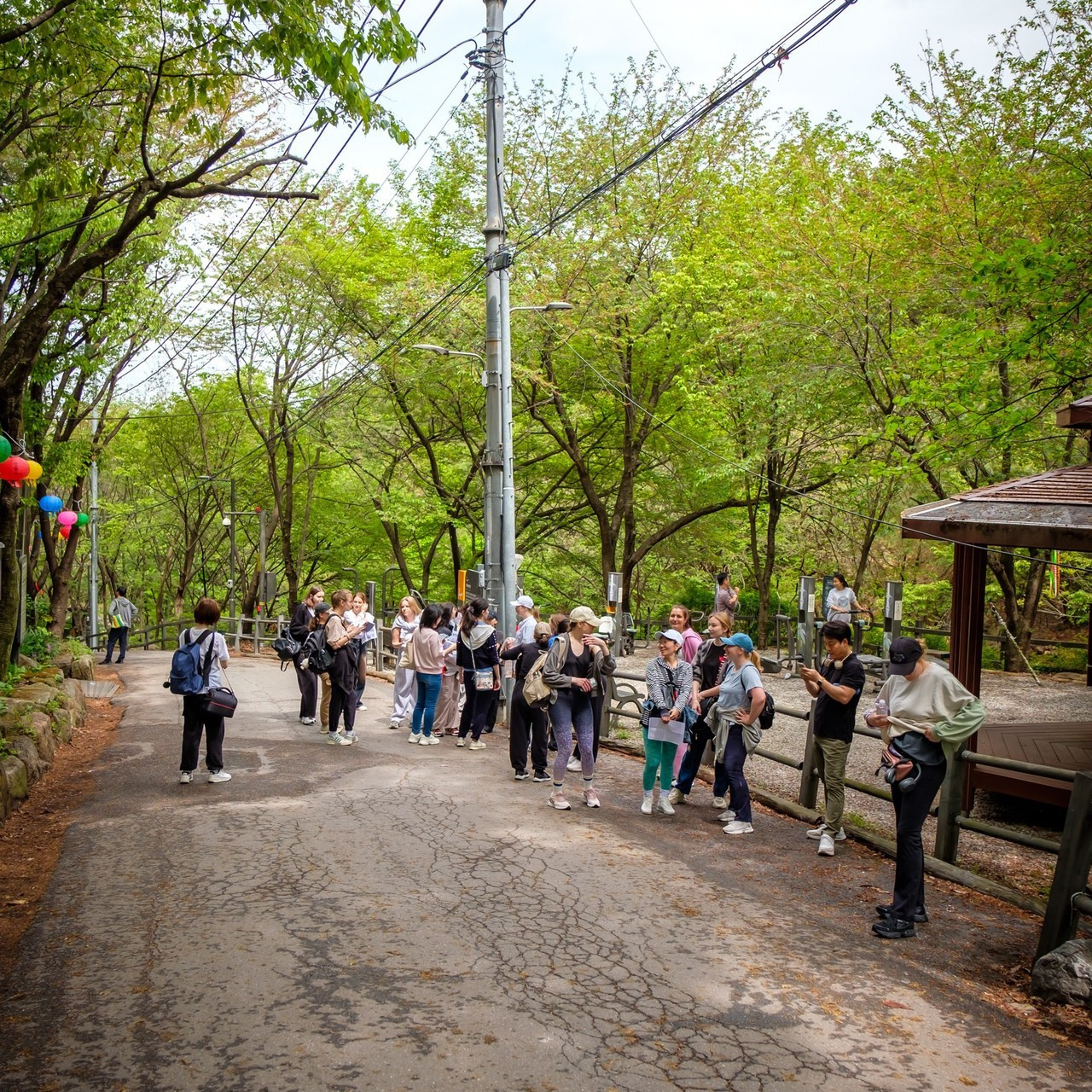 Feedback. Photographer in Seoul Dobrokvashina Natalya