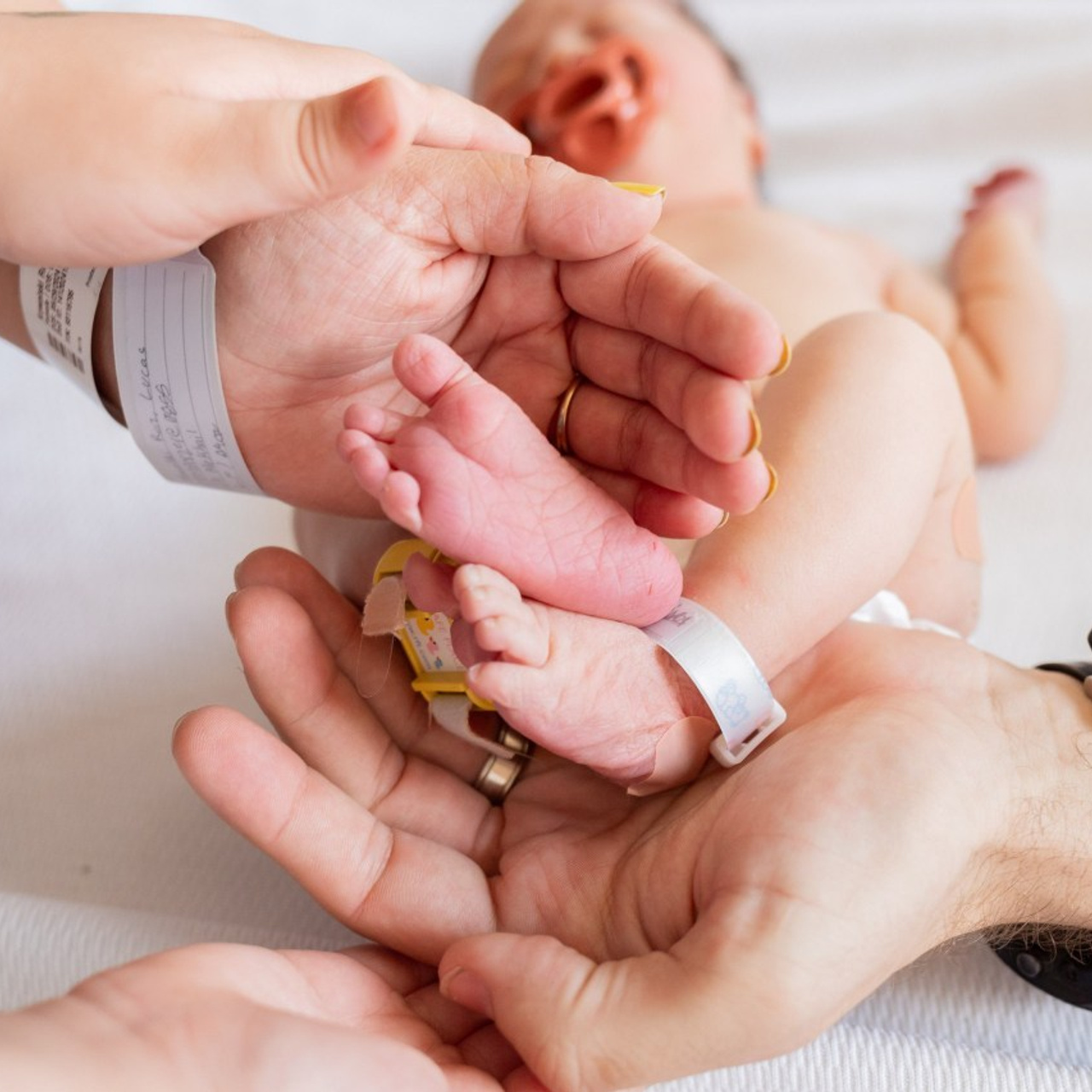 Testimonials. Andreina Noguera Photography