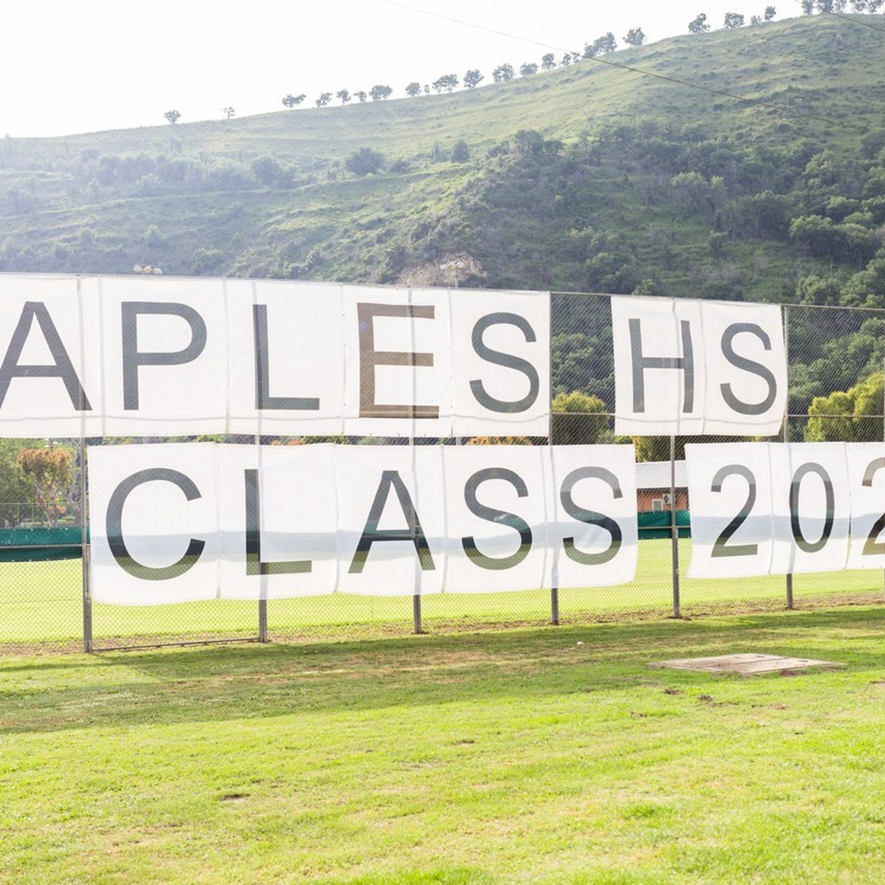 Testimonials. Andreina Noguera Photography