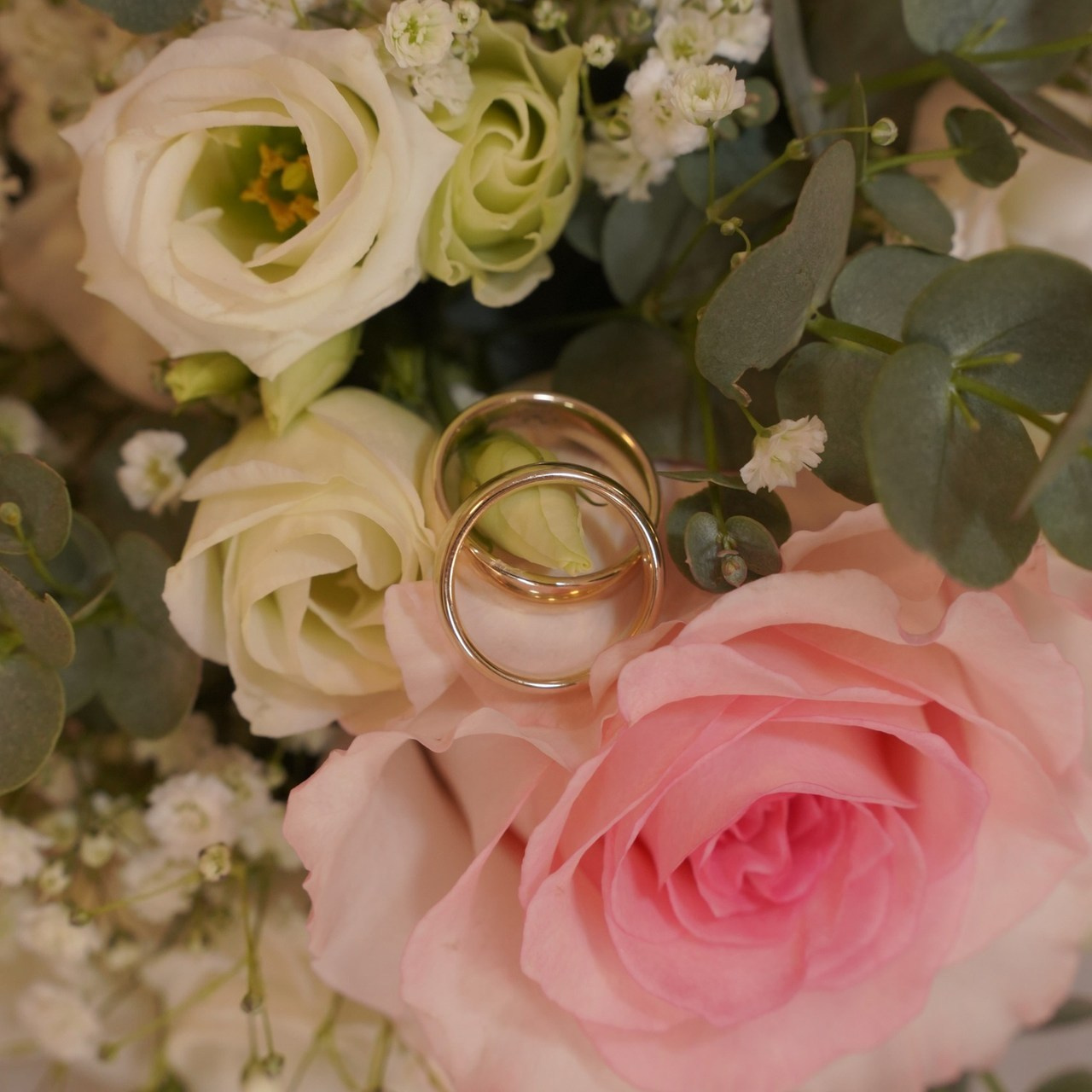 Bewertungen. Elena Fotografie aus Rottenburg am Neckar