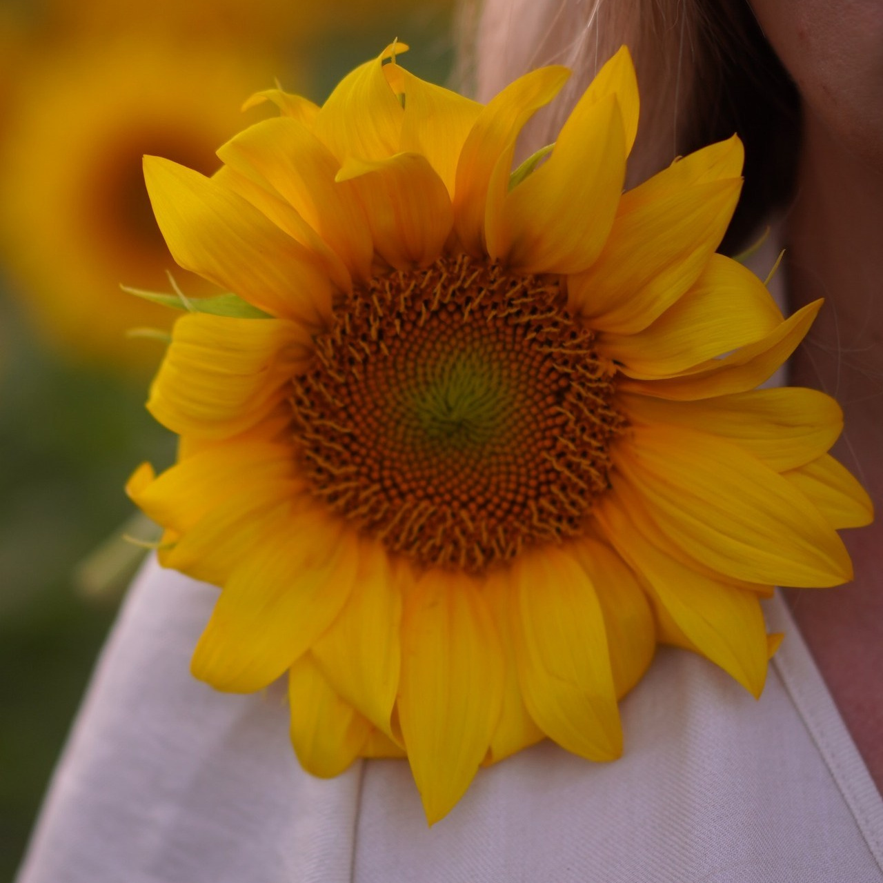 Bewertungen. Elena Fotografie aus Rottenburg am Neckar