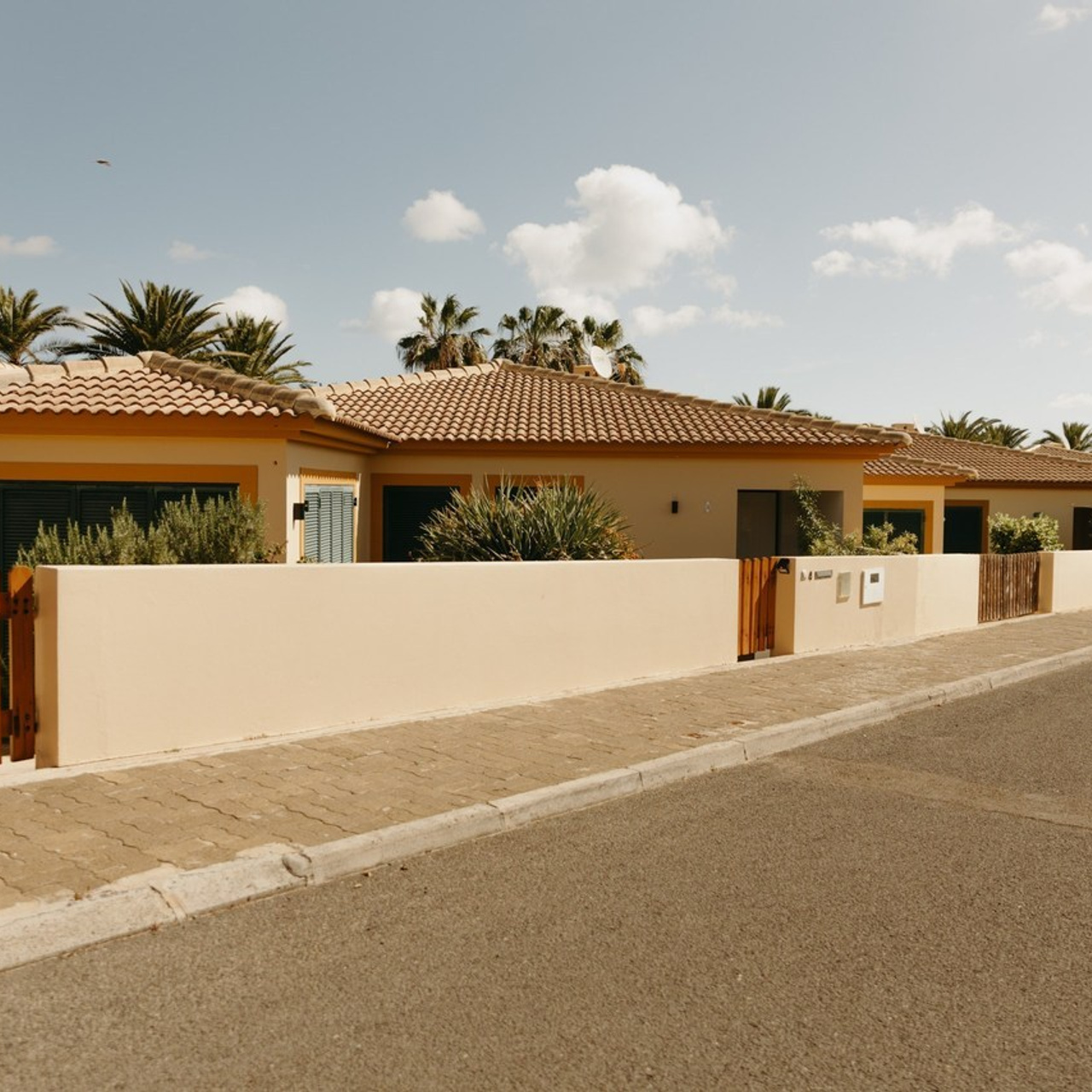 Feedback. Patricia Morenci — Mountain Adventures for the Wild at Heart