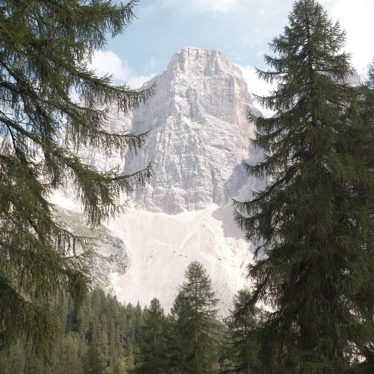 Feedback. Patricia Morenci — Mountain Adventures for the Wild at Heart