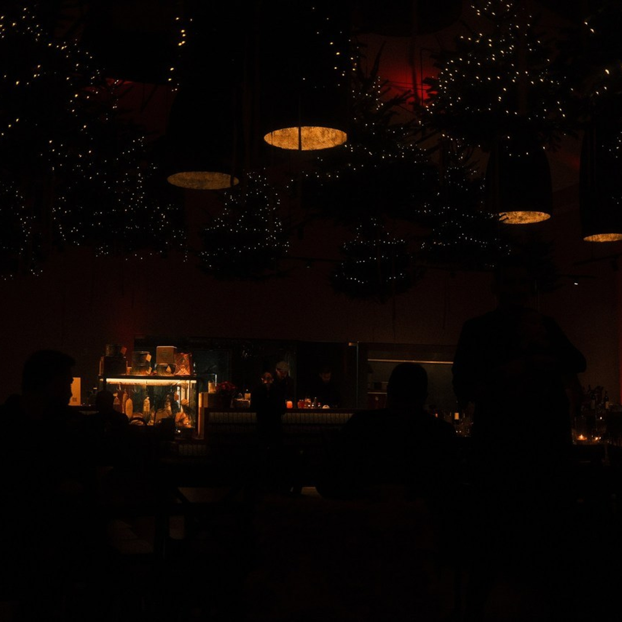 Feedback. Patricia Morenci — Mountain Adventures for the Wild at Heart