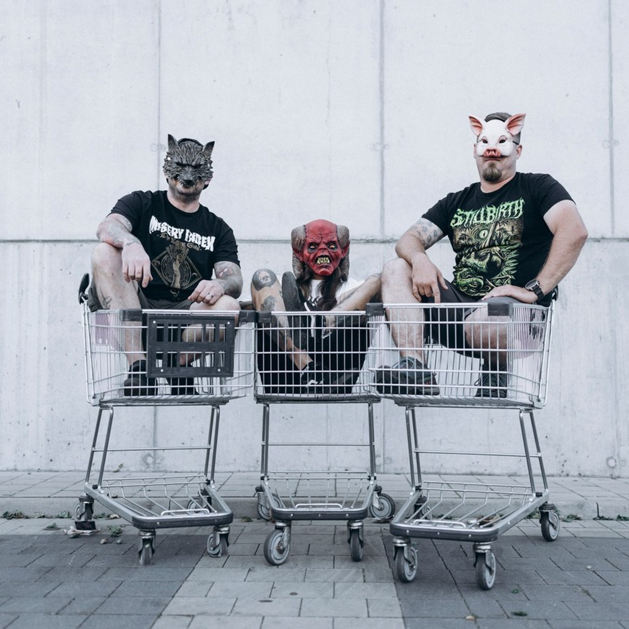 Reference. Fotograf Teplice // Alexandra Ribola