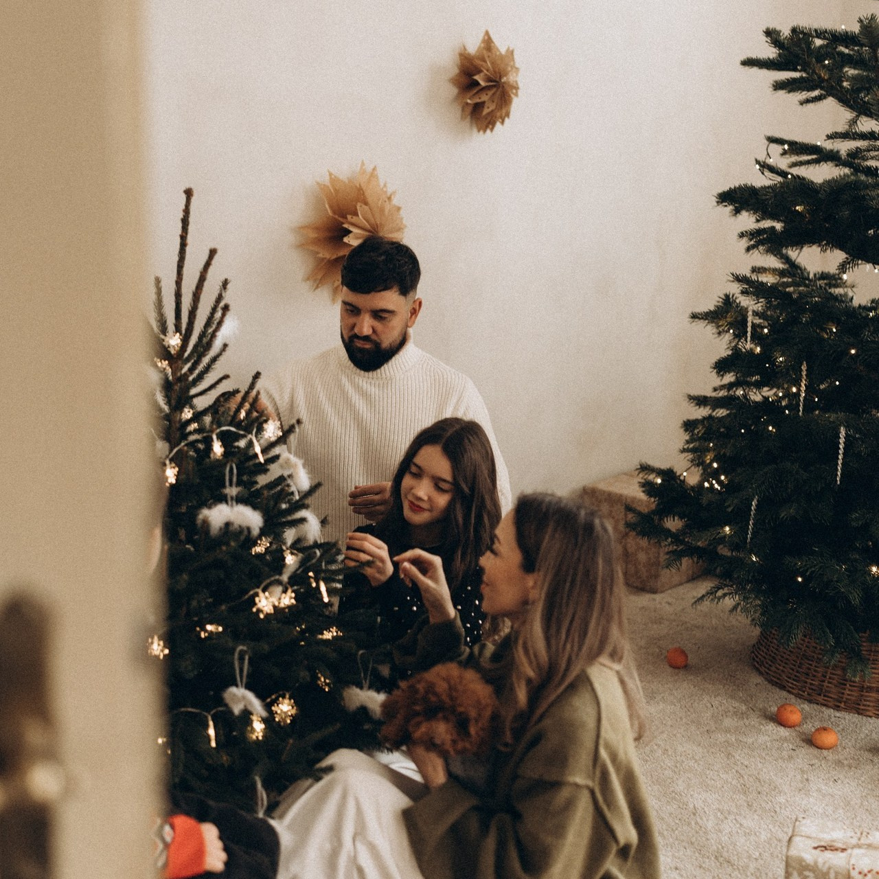 Reference. Fotograf Teplice // Alexandra Ribola