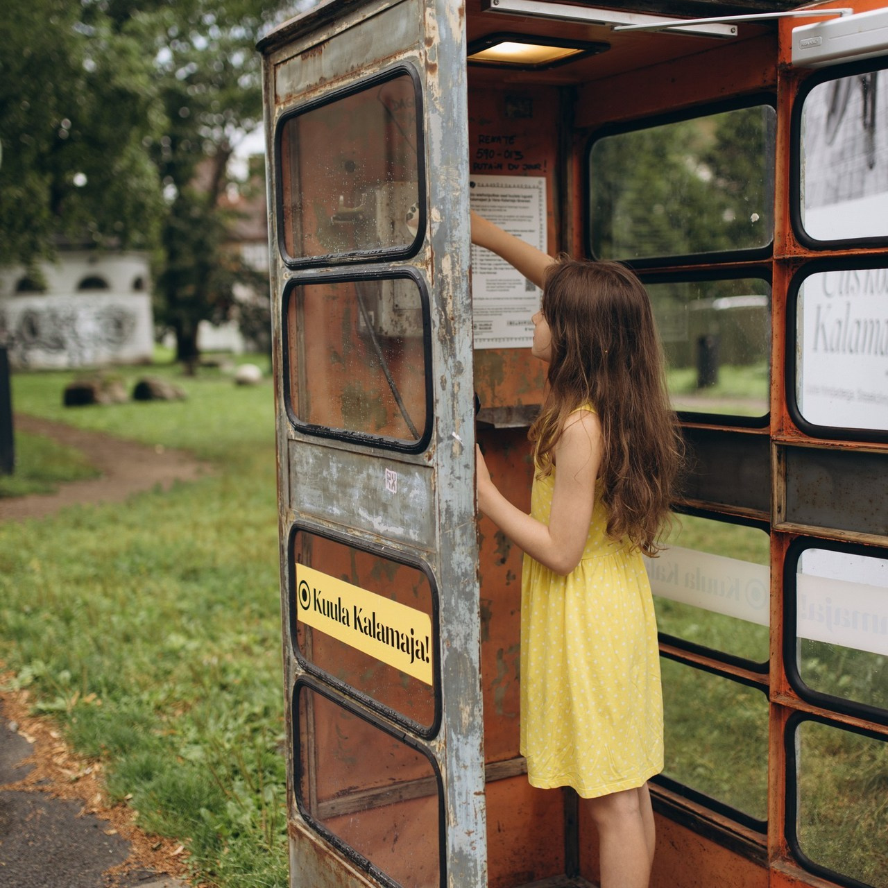 Feedback. Family and Wedding photographer Anastasiia Lysenko