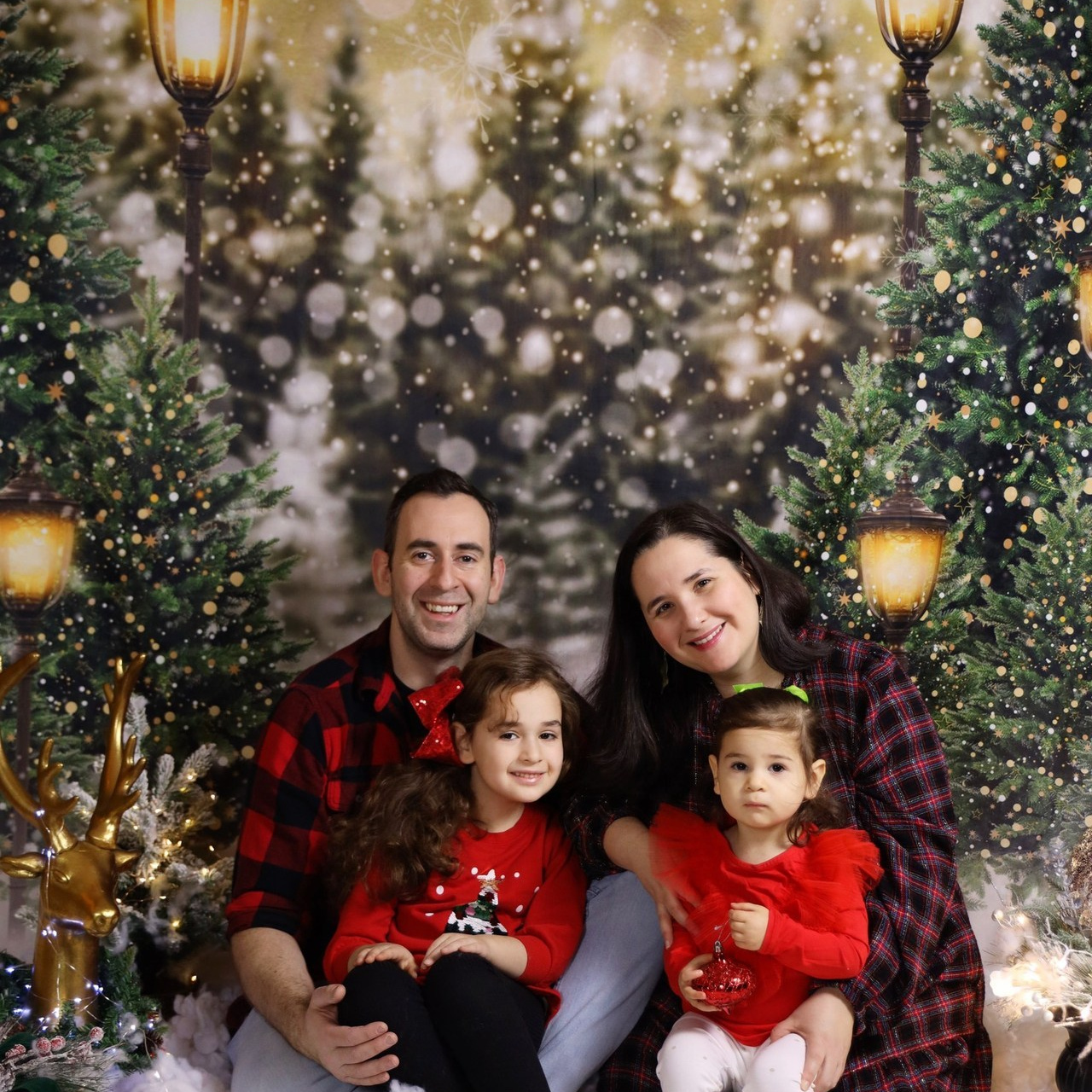 Reviews. Alisa Kogan Photography — Families, Love Stories & Events in New York