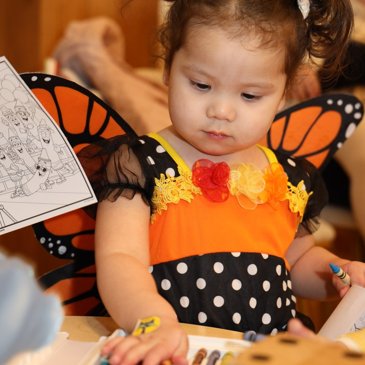 Reviews. Alisa Kogan Photography — Families, Love Stories & Events in New York