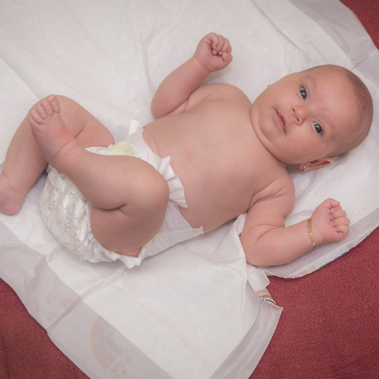 Testimonials. Daniel Criste Fotograf