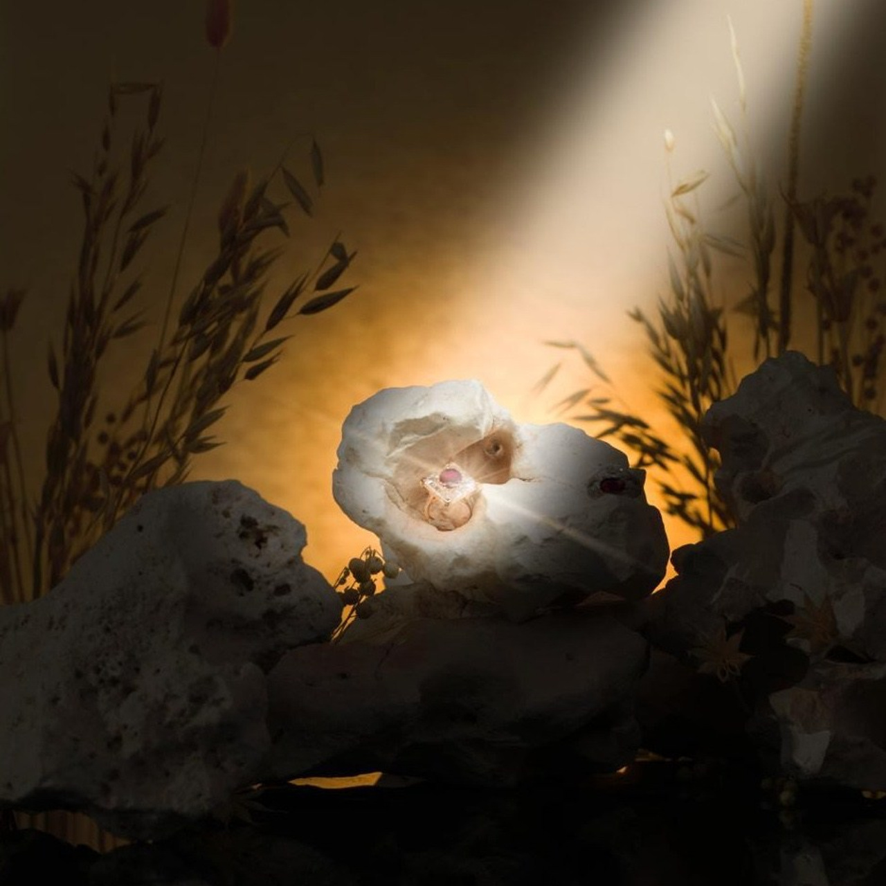 ALIEL JEWELLERS (2024) — ADVERTORIAL