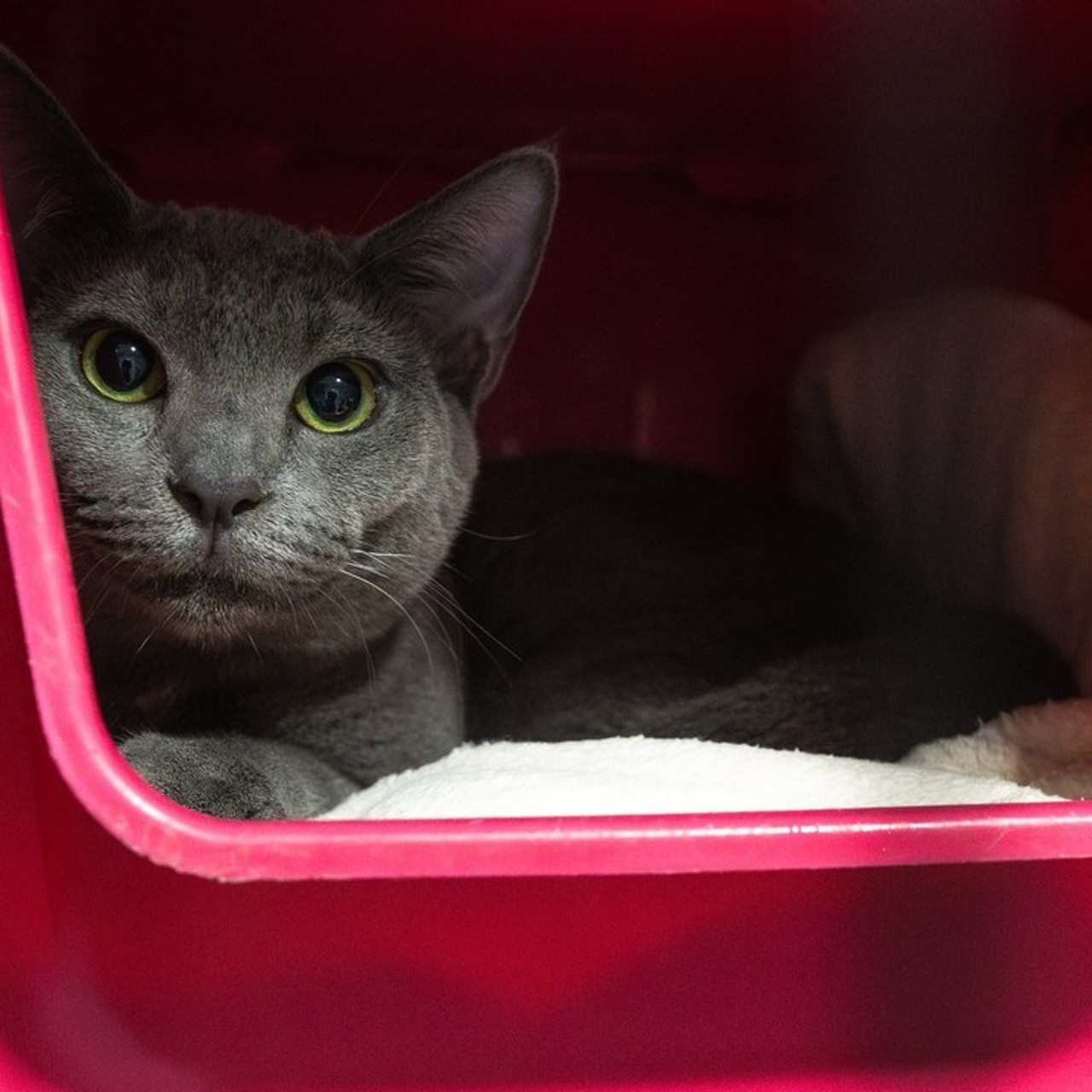 REVIEWS. Florida destination wedding photographer