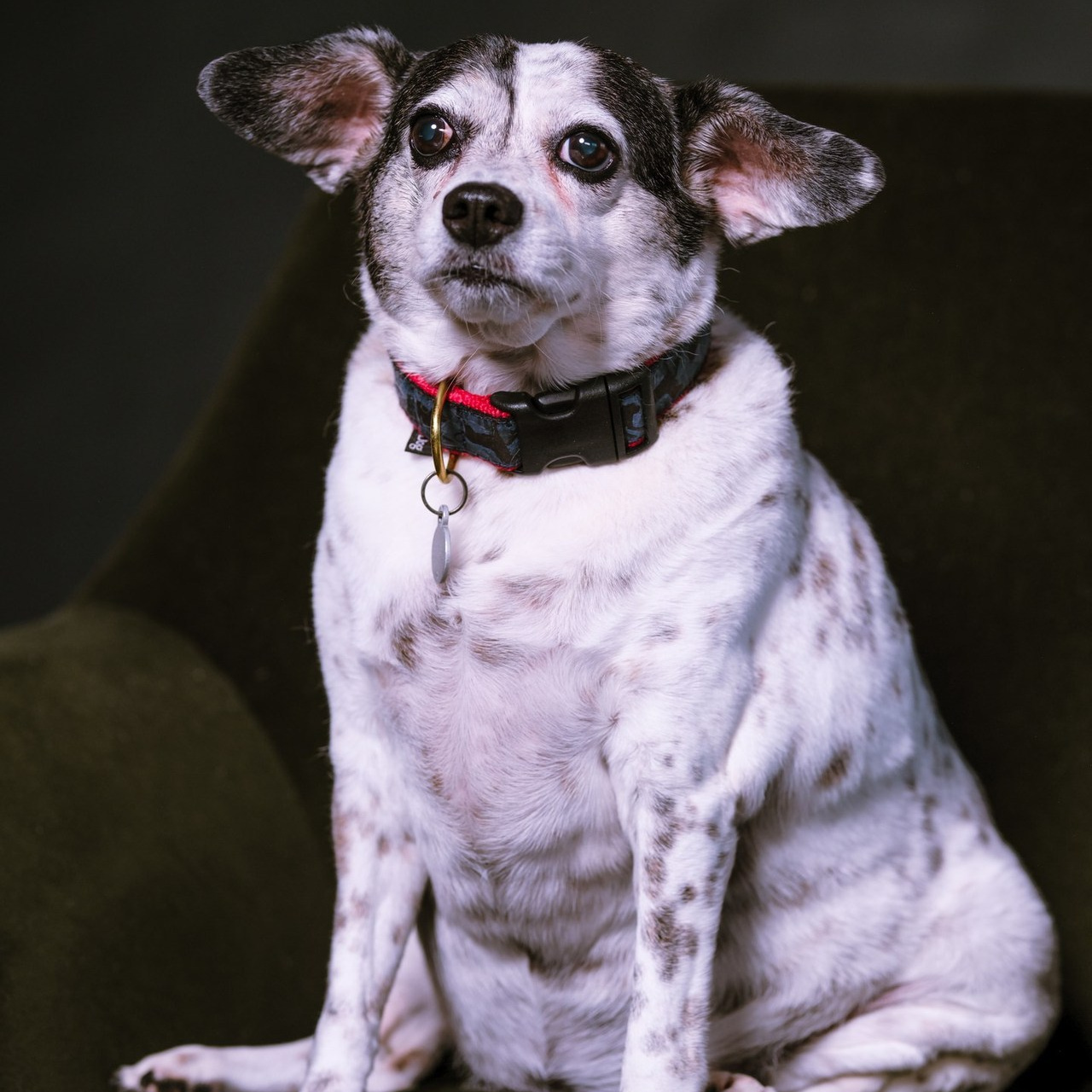 REVIEWS. Florida destination wedding photographer