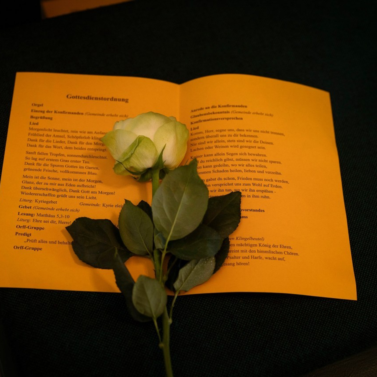 BEWERTUNGEN. Fotografin und Videografin im Raum Osnabrück und Emsland Alla