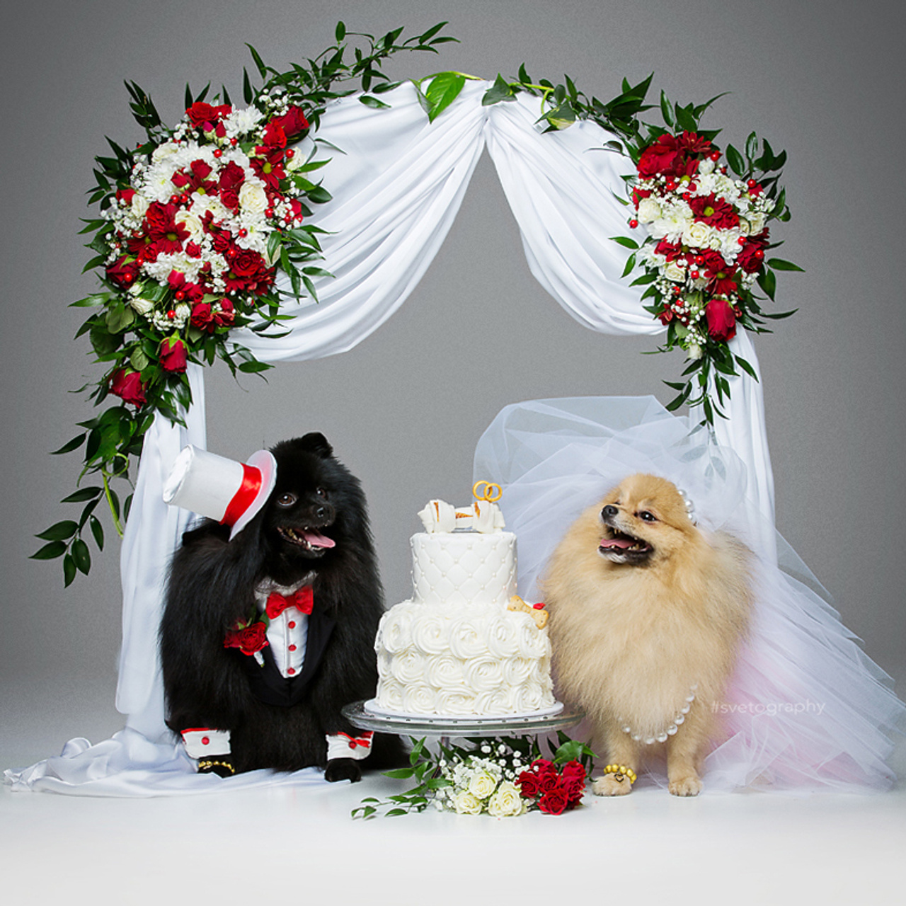 Radoši projekti. Pasākumu dekorēšana pa visu Latviju