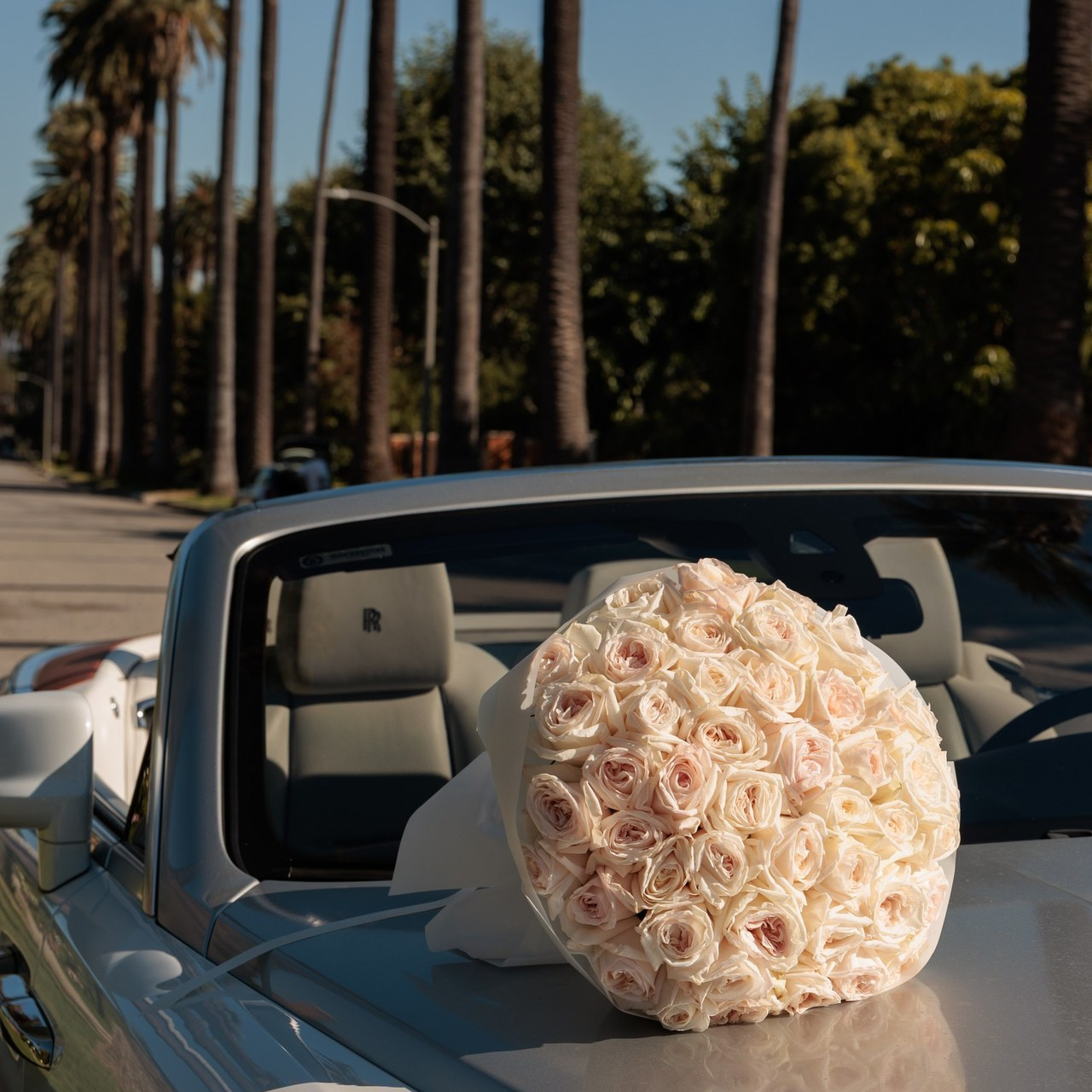 Reviews. Alina Novikova Photographer Los Angeles