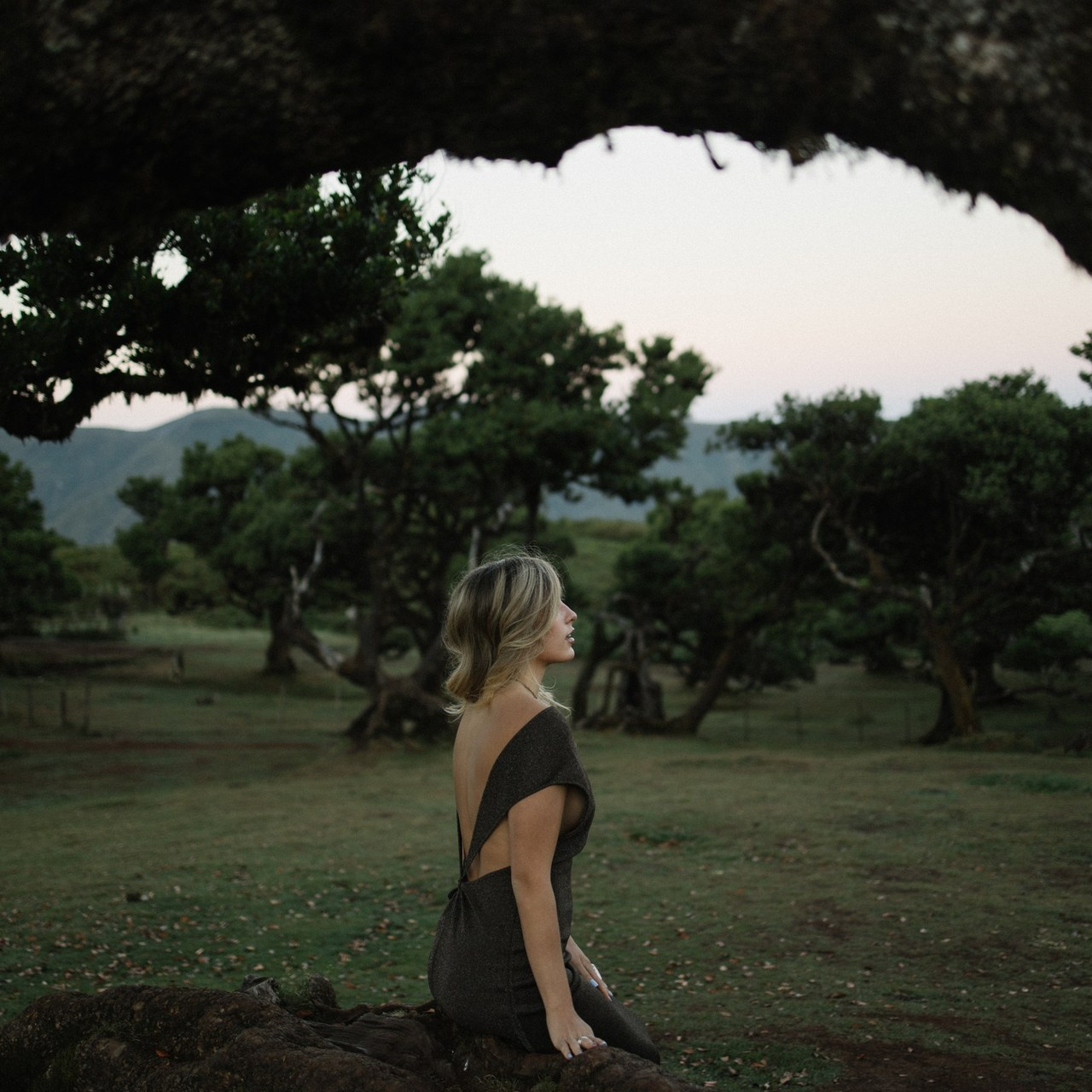 Testimonials. Photographer Madeira