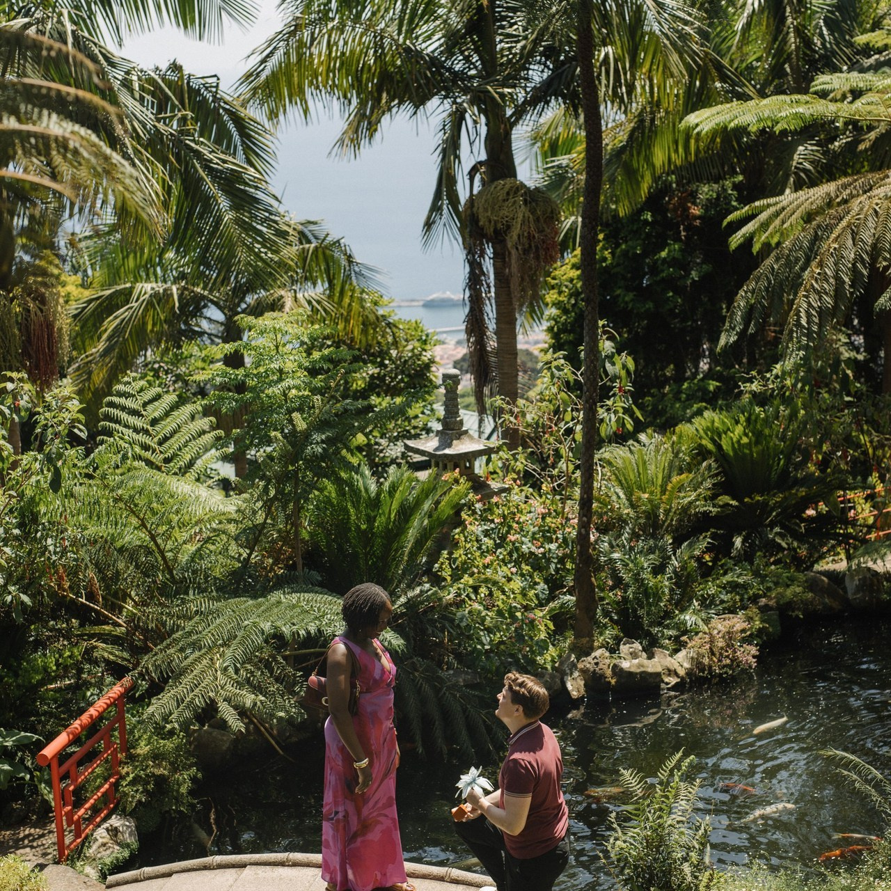 Testimonials. Photographer Madeira