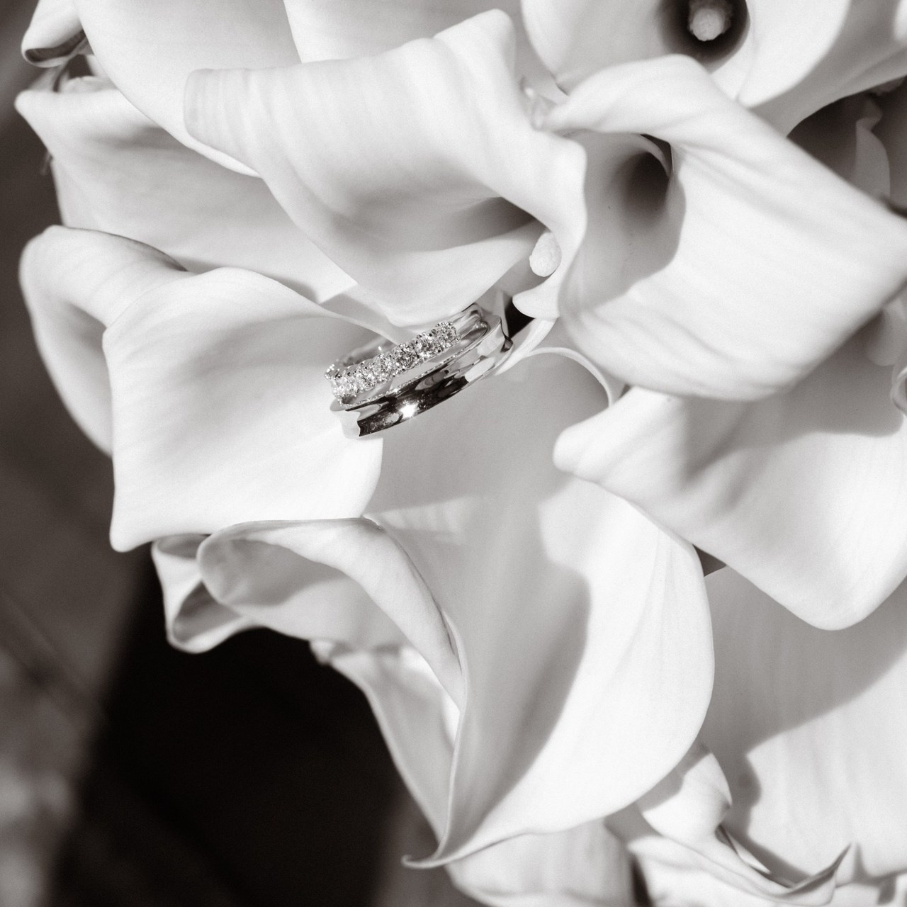 Reviews. Natalia Poroshina Photography