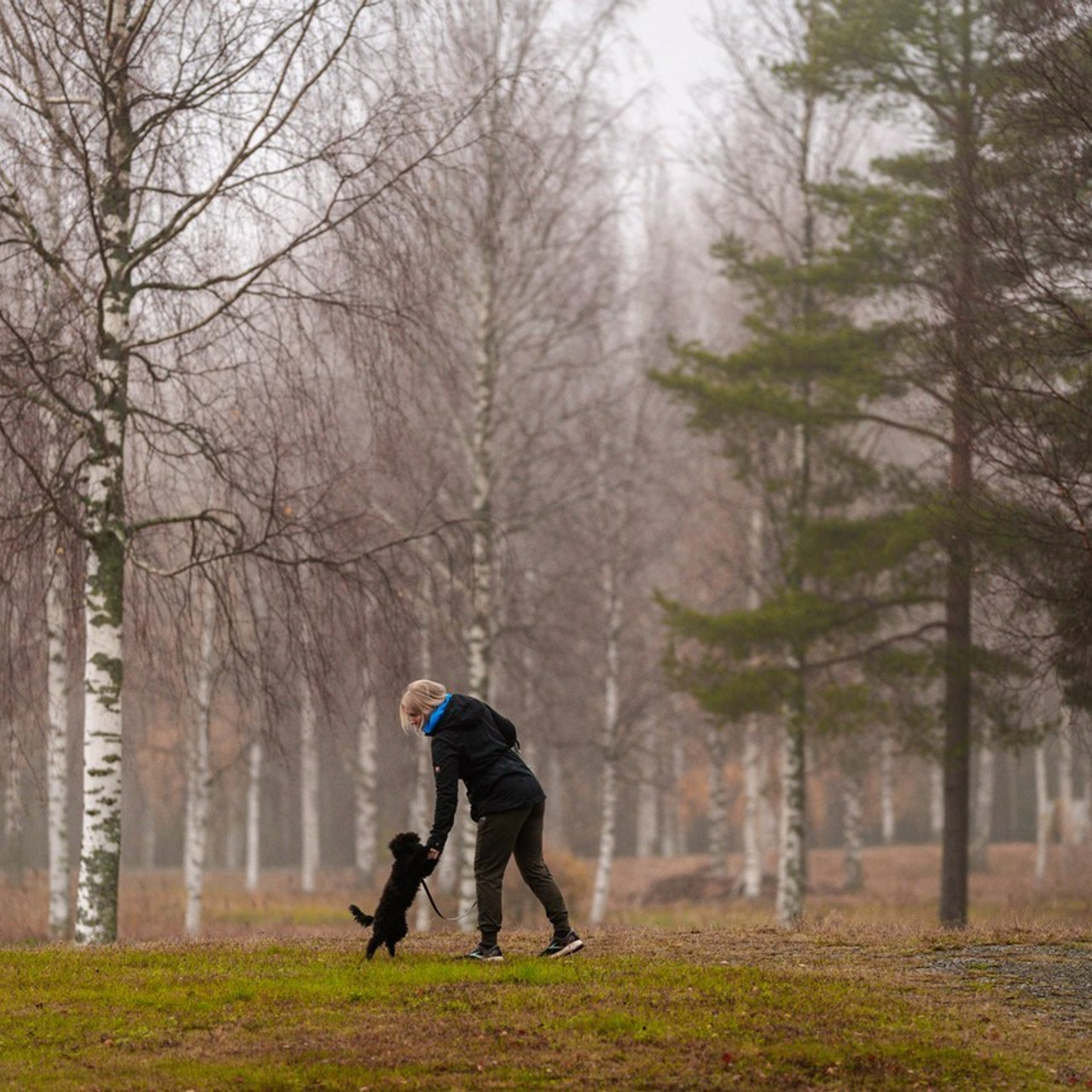 Reviews. Natasha Shakh