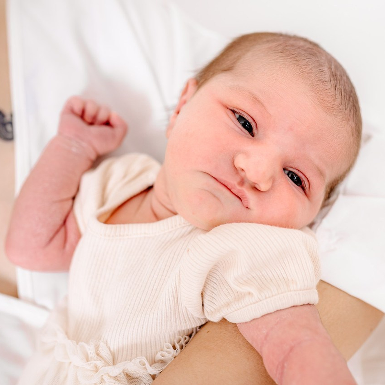 Testimonials. DanFotograf.dk