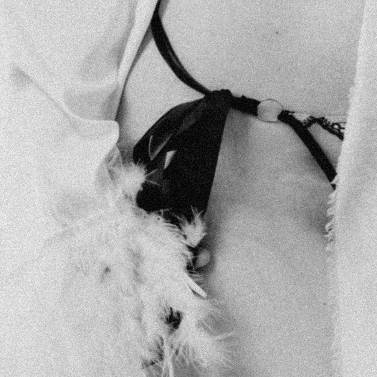 Отзывы. Валерия Вартанова. Фотограф