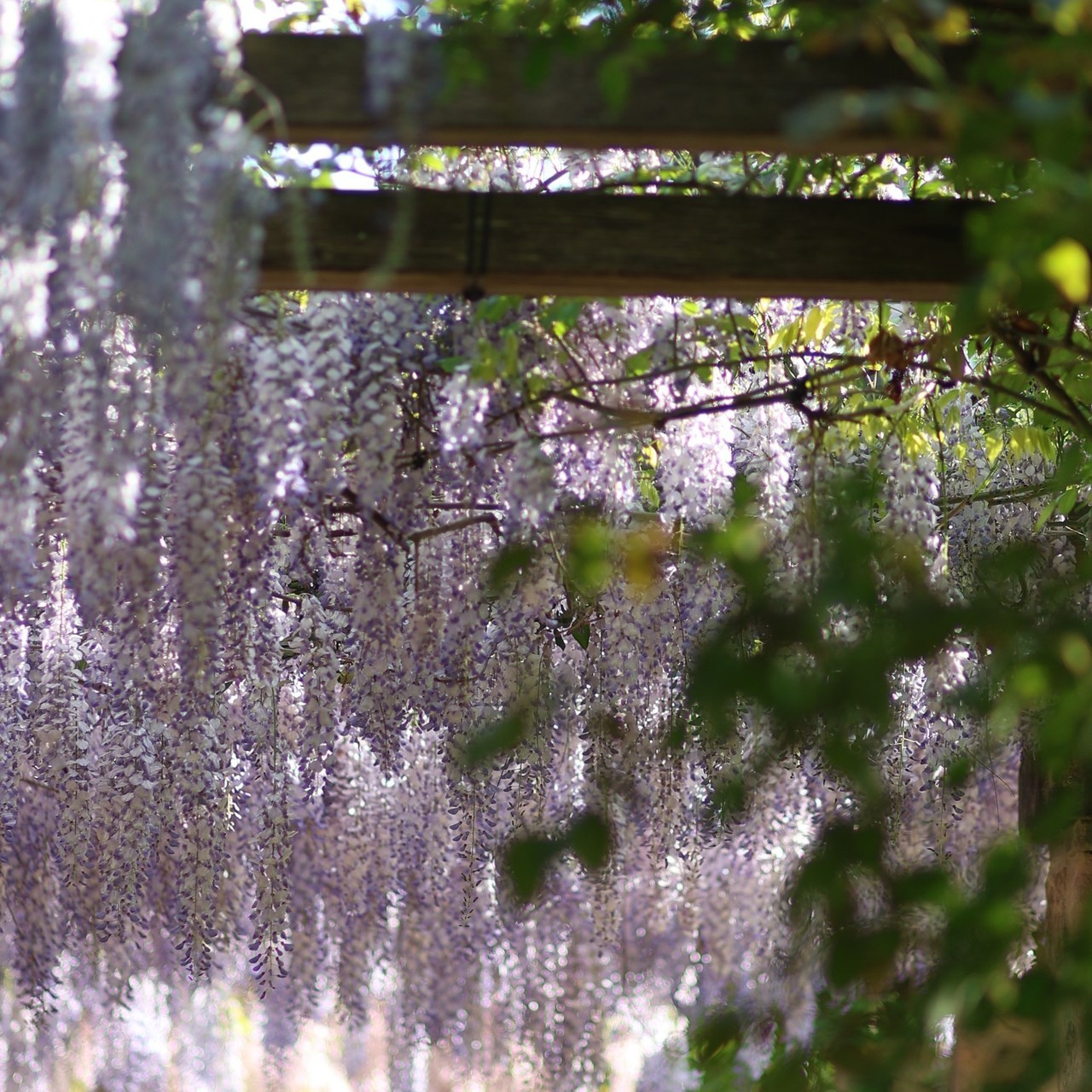 Fotograf in Nürnberg mit guten Bewertungen. Ihr Fotograf in Nürnberg und Umgebung