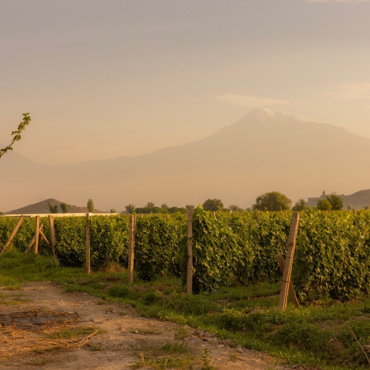 Отзывы. Детский и семейный фотограф Армения, Грузия