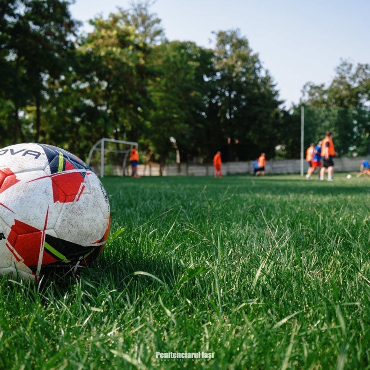 Reviews. Laurentiu Stefan StoryTeller